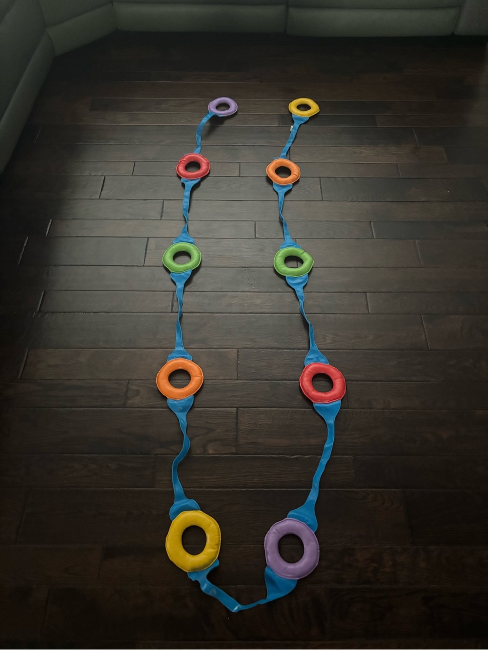 Hold a ring walking rope